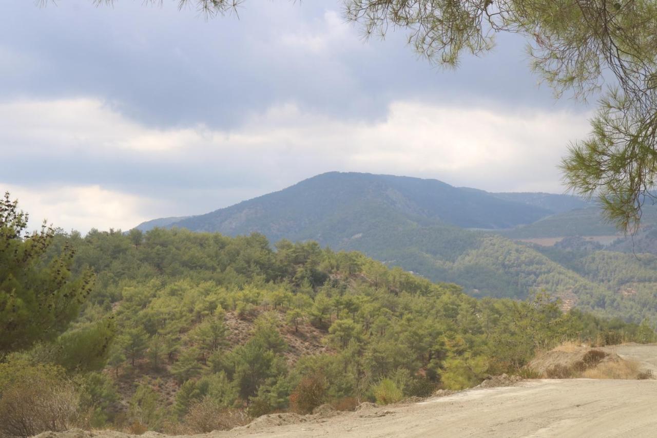 Georgiou Villa In Action Pelendri Exterior foto
